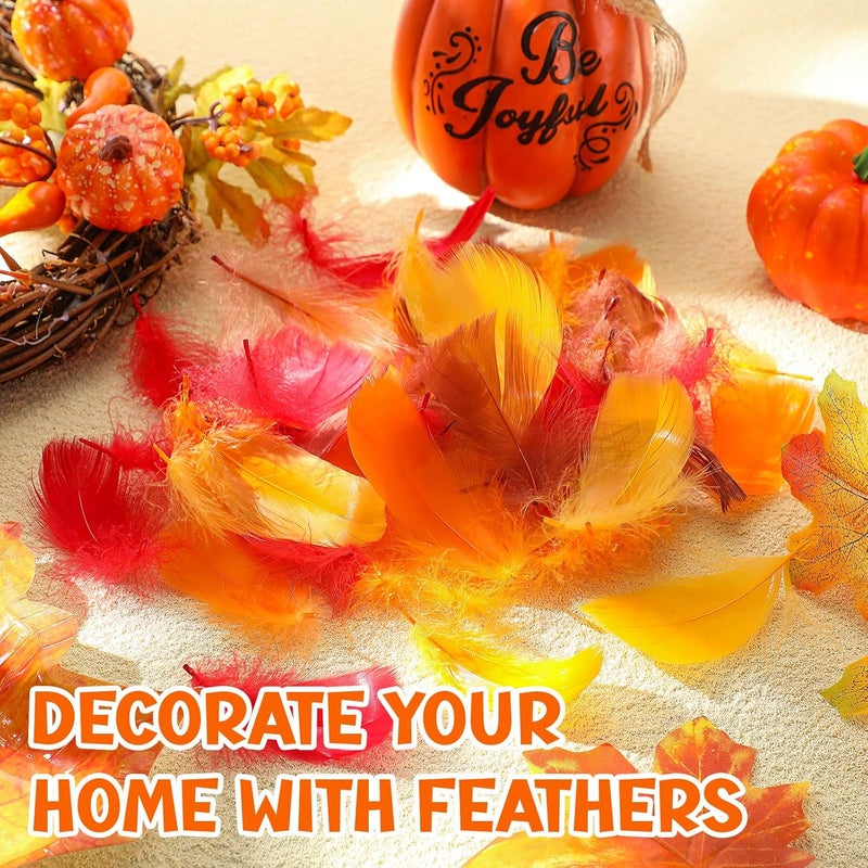 Lyrow Store 800 Pcs Thanksgiving Fall Feathers DIY Craft Color Feathers Dream Catcher Decoration Natural Fluffy Dress up Party Decoration, 2-4 Inches (Bright Color) - Image 3